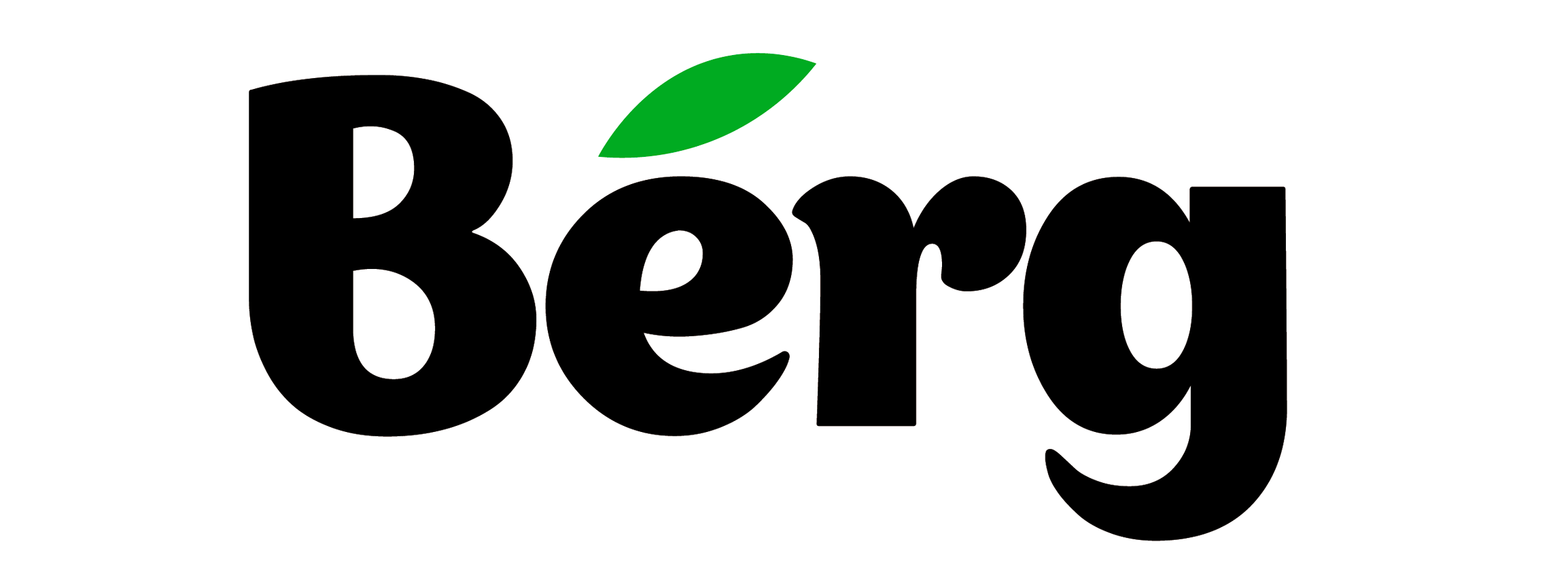 Berg